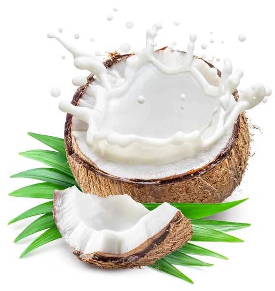 Kokosmelk Vliegend Uit Gebarsten Kokosfruit Witte Achtergrond — Stockfoto