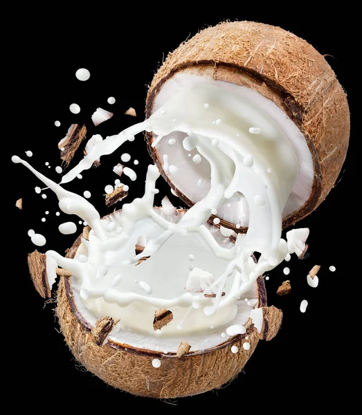 코코넛 밀크는 배경에 코코넛 열매를 쪼개서 다닙니다 파일에는 끊어진 경로가 — 스톡 사진