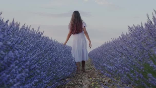 Teen Girl Walks Blooming Lavender Fields Blue Lavender Flowers Summer — Stock Video