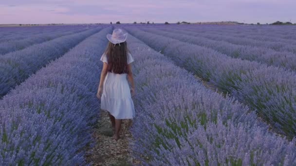 Chica Adolescente Camina Por Los Campos Lavanda Flor Con Flores — Vídeos de Stock