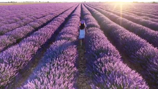 Tonårstjej Går Förbi Blommande Lavendelfält Med Blå Lavendelblommor Sommardagen Gård — Stockvideo