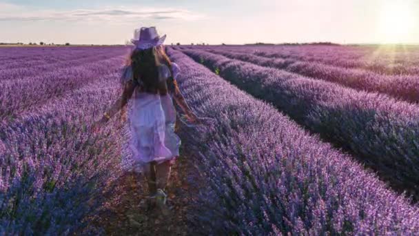Tonårsflicka Som Drivs Blommande Lavendelfält Med Violetta Lavendelblommor Sommarsolnedgången Videoanimeringseffekt — Stockvideo