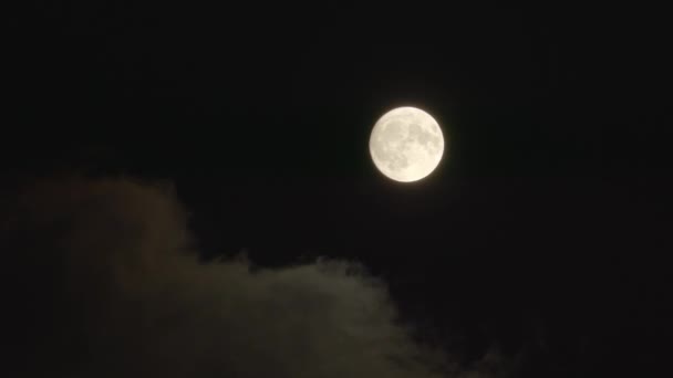 Pełnia Księżyca Superksiężyc Porusza Się Nocnym Niebie Towarzystwie Małych Chmur — Wideo stockowe