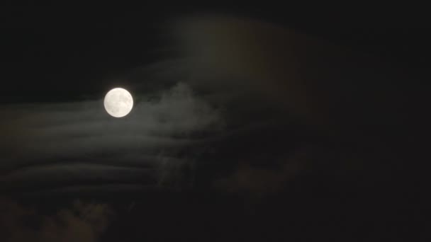 Volle Maan Supermaan Beweegt Zich Door Nachtelijke Hemel Vergezeld Van — Stockvideo