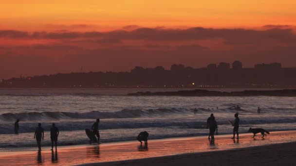 Σιλουέτες Των Ανθρώπων Που Περπατούν Αμμώδη Παραλία Και Surfers Στο — Αρχείο Βίντεο