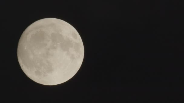 Pełnia Księżyca Superksiężyc Porusza Się Nocnym Niebie Towarzystwie Małych Chmur — Wideo stockowe