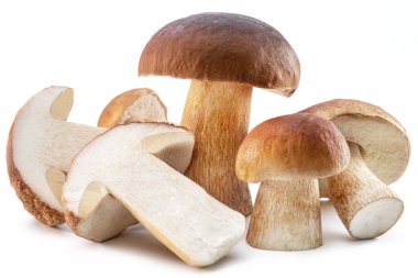 Beyaz arka planda izole edilmiş bir grup Porcini mantarı.. 
