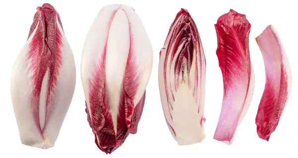 Collection Red Endive Red Endive Slices White Background File Contains — Stock Photo, Image