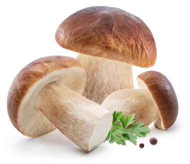 Porcini mantarları ve beyaz arka planda taze maydanoz yaprakları..