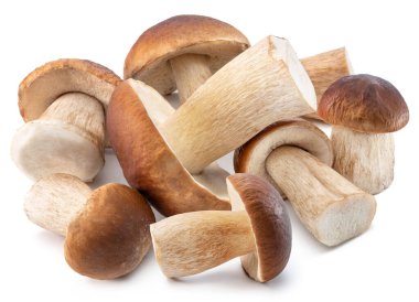 Beyaz arka planda izole edilmiş bir grup Porcini mantarı.. 