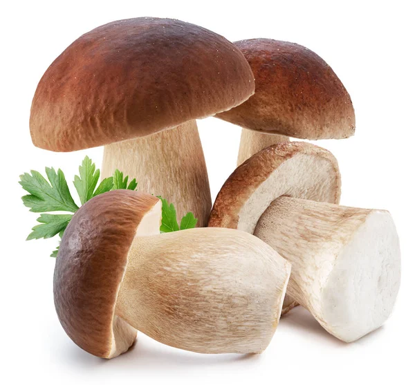 白色背景的香菇和新鲜的欧芹叶 — 图库照片