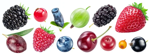 Collection Different Berries File Contains Clipping Paths — Stock Photo, Image