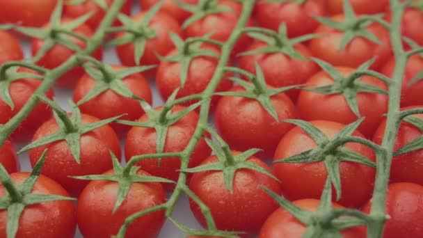 Cherry Tomatoes Slow Motion Branches Cherry Tomatoes Close Video Footage — 비디오
