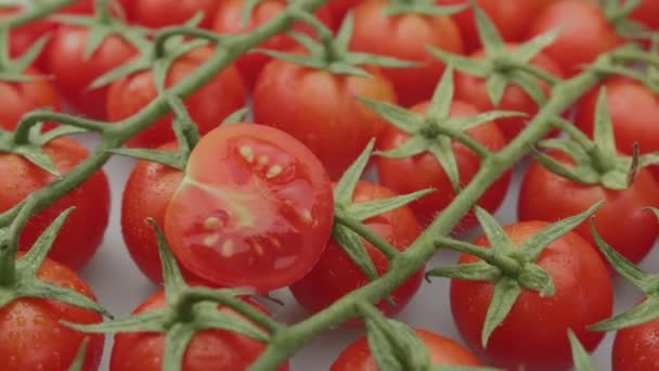Cherry Tomatoes Slow Motion Branches Cherry Tomatoes Close Video Footage — Wideo stockowe