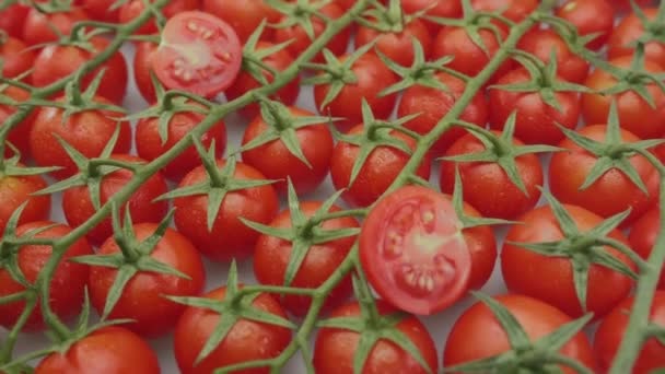 Cherry Tomatoes Slow Motion Branches Cherry Tomatoes Close Video Footage — Stockvideo