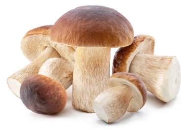 Beyaz arka planda izole edilmiş bir grup Porcini mantarı.. 