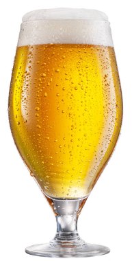 Glass of chilled beer with large head of foam isolated on white background. Clipping path.
