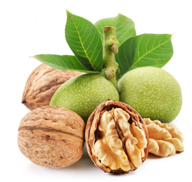 Whole walnut and walnut kernel  with leaves isolated on white background.