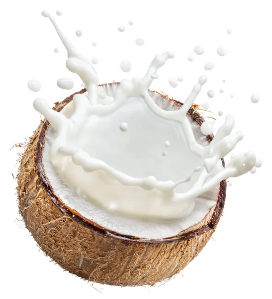 Кокосовое Молоко Вылетающее Треснувших Кокосовых Фруктов Файл Содержит Путь Обрезки — стоковое фото