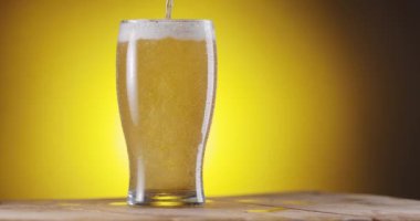 Bira bir bardak biraya dökülür, birçok kabarcık yaratır, sonra bira köpüğü bira bardağından aşağı akar. Makro video çekimi. 