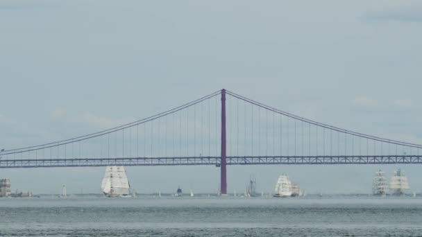 Regaty Żeglarskie Lizbonie Przy Moście Kwietnia Września 2023 — Wideo stockowe