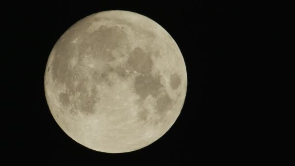 Pełnia Księżyca Superksiężyc Porusza Się Nocnym Niebie — Wideo stockowe