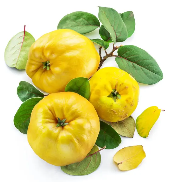 stock image Ripe apple quinces with green leaves isolated on white background.