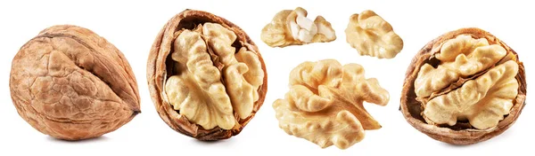 Collection Walnuts Walnut Kernel Leaves White Background File Contains Clipping — Stock Photo, Image