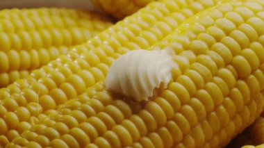 Bir parça tereyağı olgun haşlanmış mısır koçanı boyunca yavaşça hareket eder. Projelerin için güzel bir yemek geçmişi var. Makro video çekimi. 