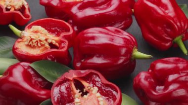 Habanero biberli kırmızı kırmızı kırmızıbiberli habanero biberleri çerçeve boyunca yavaşça ilerler. Projeleriniz için sebze biberi arka planınız güzelmiş..