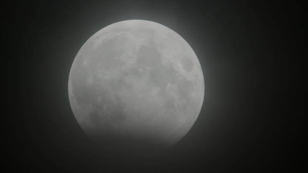 Μερική Σεληνιακή Έκλειψη Στις Οκτωβρίου 2023 Φεγγάρι Βυθίστηκε Στη Σκιά — Αρχείο Βίντεο