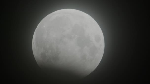 Μερική Σεληνιακή Έκλειψη Στις Οκτωβρίου 2023 Φεγγάρι Βυθίστηκε Στη Σκιά — Αρχείο Βίντεο