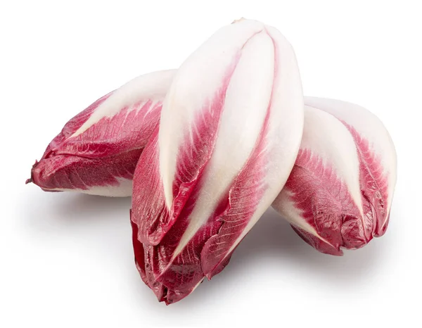 Red Endives White Background File Contains Clipping Path — Stock Photo, Image