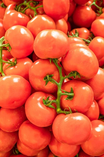 Κόκκινες Ώριμες Ντομάτες Κοντά Στο Στάβλο Της Αγροτικής Αγοράς Ιστορικό — Φωτογραφία Αρχείου