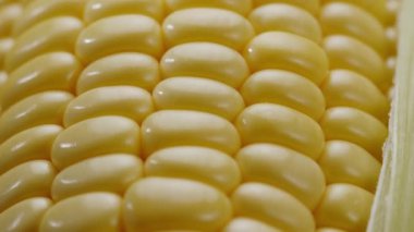 Mısır sakallı ve yapraklı olgun mısır kafalar, kameranın yavaş çekim görüntüsü. Projeleriniz için sebze pişirme geçmişiniz güzelmiş..