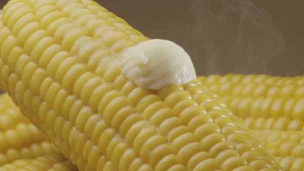 Шматок Масла Повільно Переміщується Вздовж Стиглого Вареного Кобу Кукурудзи Гарне — стокове відео