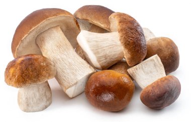 Beyaz arka planda izole edilmiş bir grup Porcini mantarı.. 