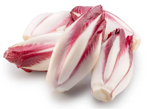Red Endive White Background File Contains Clipping Path — Stock Photo, Image