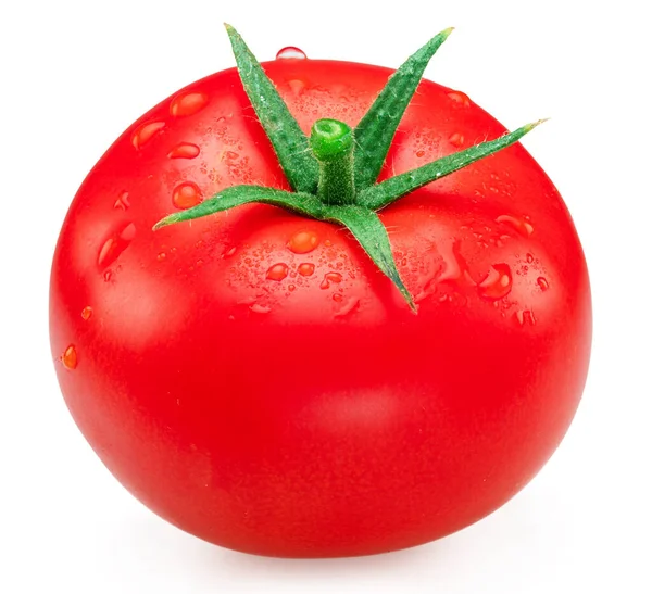 Nytvättad Röd Tomat Täckt Med Vattendroppar Vit Bakgrund — Stockfoto