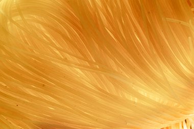 İtalyan makarnası vermicelli yakın plan. Gıda arkaplanı.