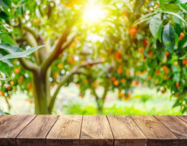 Empty wooden board or table top and blurred orange orchard. Place your product display.