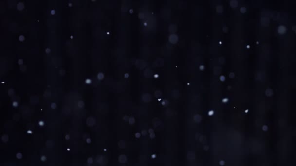 Падаючі Природні Сніжинки Ізольовані Чорному Тлі Багато Падаючого Хаотичного Снігу — стокове відео