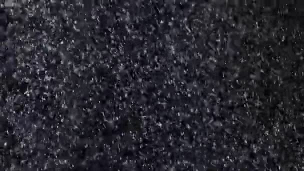 Vallende Natuurlijke Sneeuwvlokken Geïsoleerd Een Zwarte Achtergrond Veel Vallende Chaotische — Stockvideo