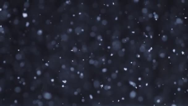在黑色的背景下 自然雪花飘落 在任何一个冬季项目中 都会有许多纷乱的雪花飘落 — 图库视频影像