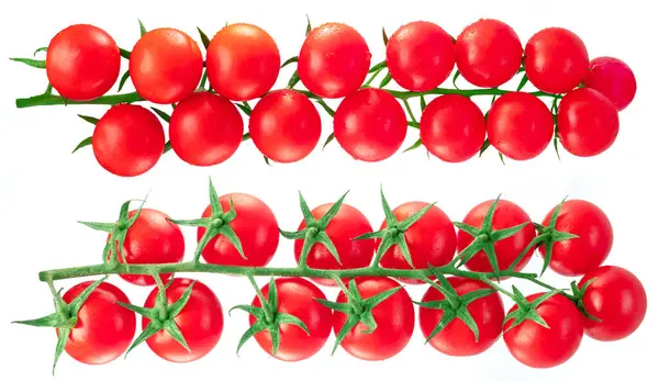 Red Cherry Tomatoes Branch Water Drops Isolated White Background — Stock Photo, Image