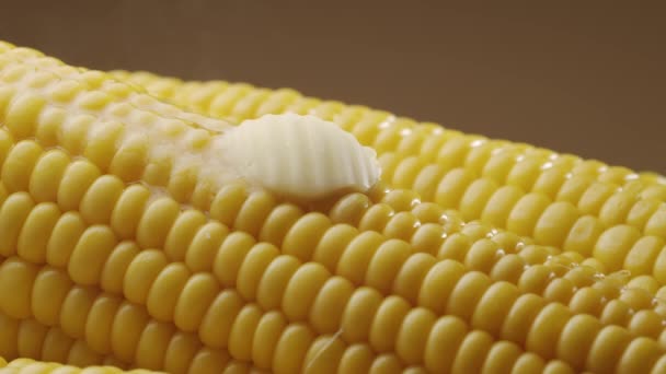Kawałek Masła Powoli Przesuwa Się Wzdłuż Dojrzałej Gotowanej Kolby Kukurydzy — Wideo stockowe