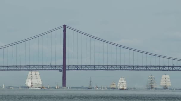 Regata Vela Lisboa Perto Ponte Abril Setembro 2023 — Vídeo de Stock