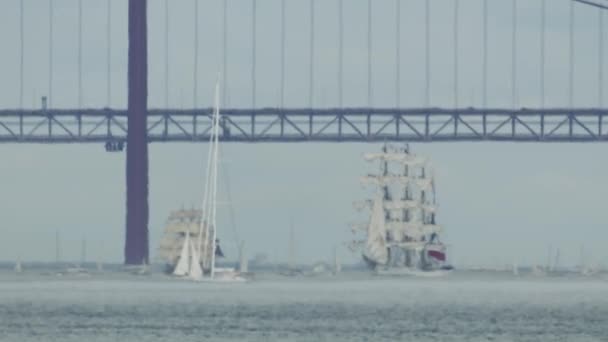 Segelregatta Lissabon Der Nähe Der Brücke April September 2023 — Stockvideo