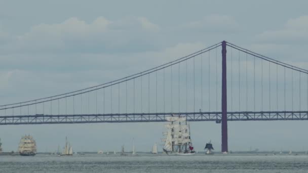 Ιστιοπλοϊκή Ρεγκάτα Στη Λισαβόνα Κοντά Στη Γέφυρα Στις Απριλίου Σεπτεμβρίου — Αρχείο Βίντεο