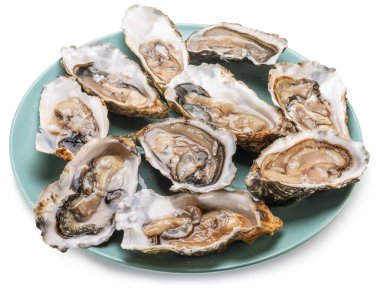 Opened raw oysters on blue plate top view. Delicacy food. File contains clipping path. 